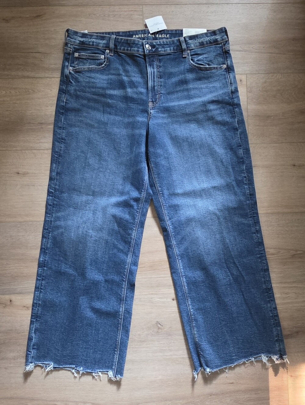 Plus size American Eagle Low-Rise Baggy Wide Leg Jeans